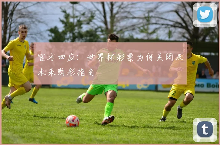 官方回应：世界杯彩票为何关闭及未来购彩指南