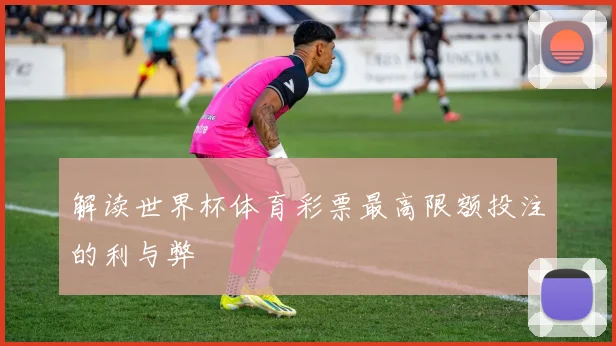 解读世界杯体育彩票最高限额投注的利与弊