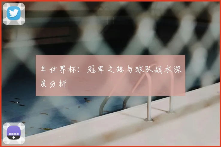 年世界杯：冠军之路与球队战术深度分析