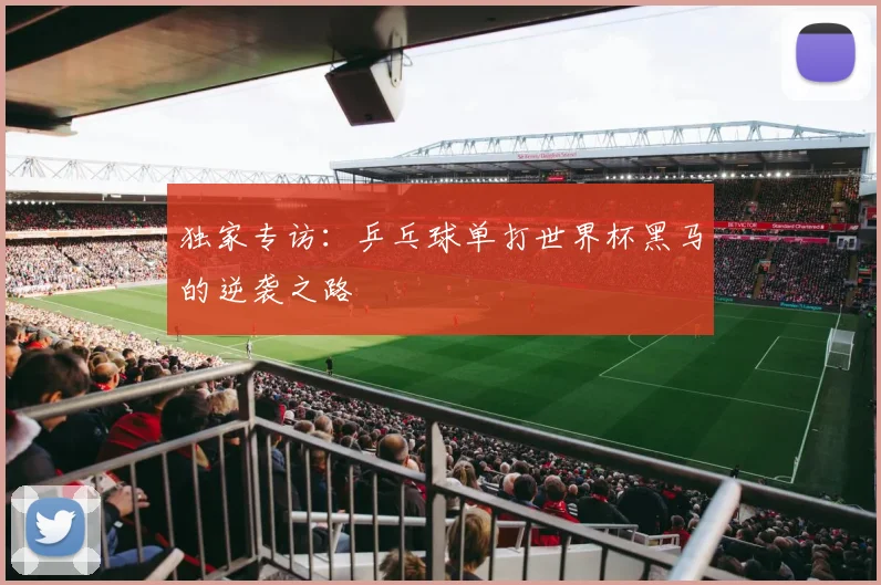 独家专访:乒乓球单打世界杯黑马的逆袭之路