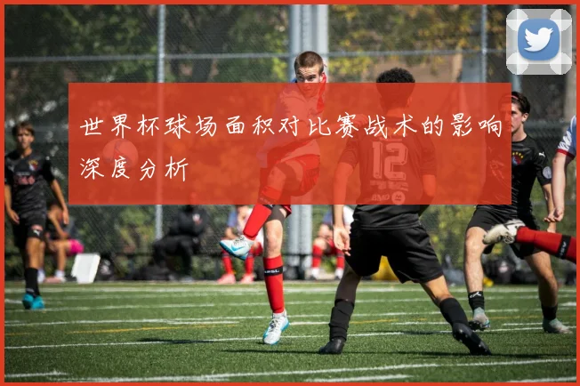 世界杯球场面积对比赛战术的影响深度分析