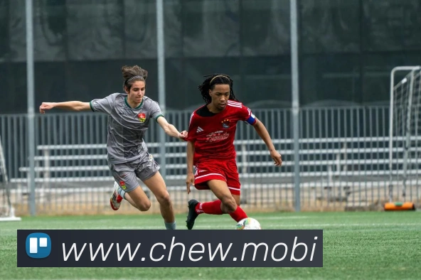 开云在线官方网站平台生态图